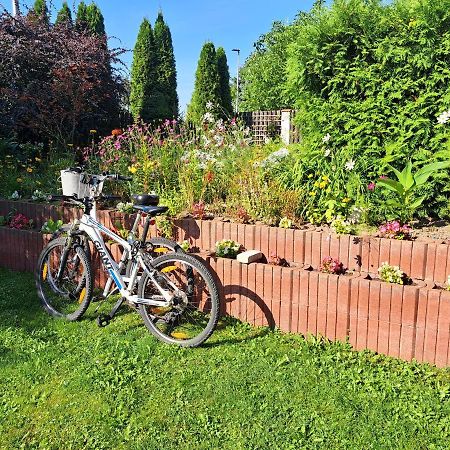 Viktoria Apartman Ełk Kültér fotó