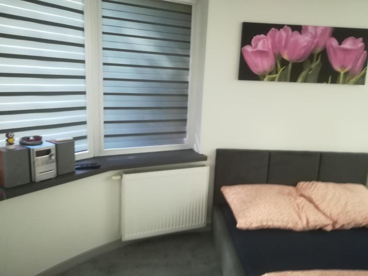 Viktoria Apartman Ełk Kültér fotó