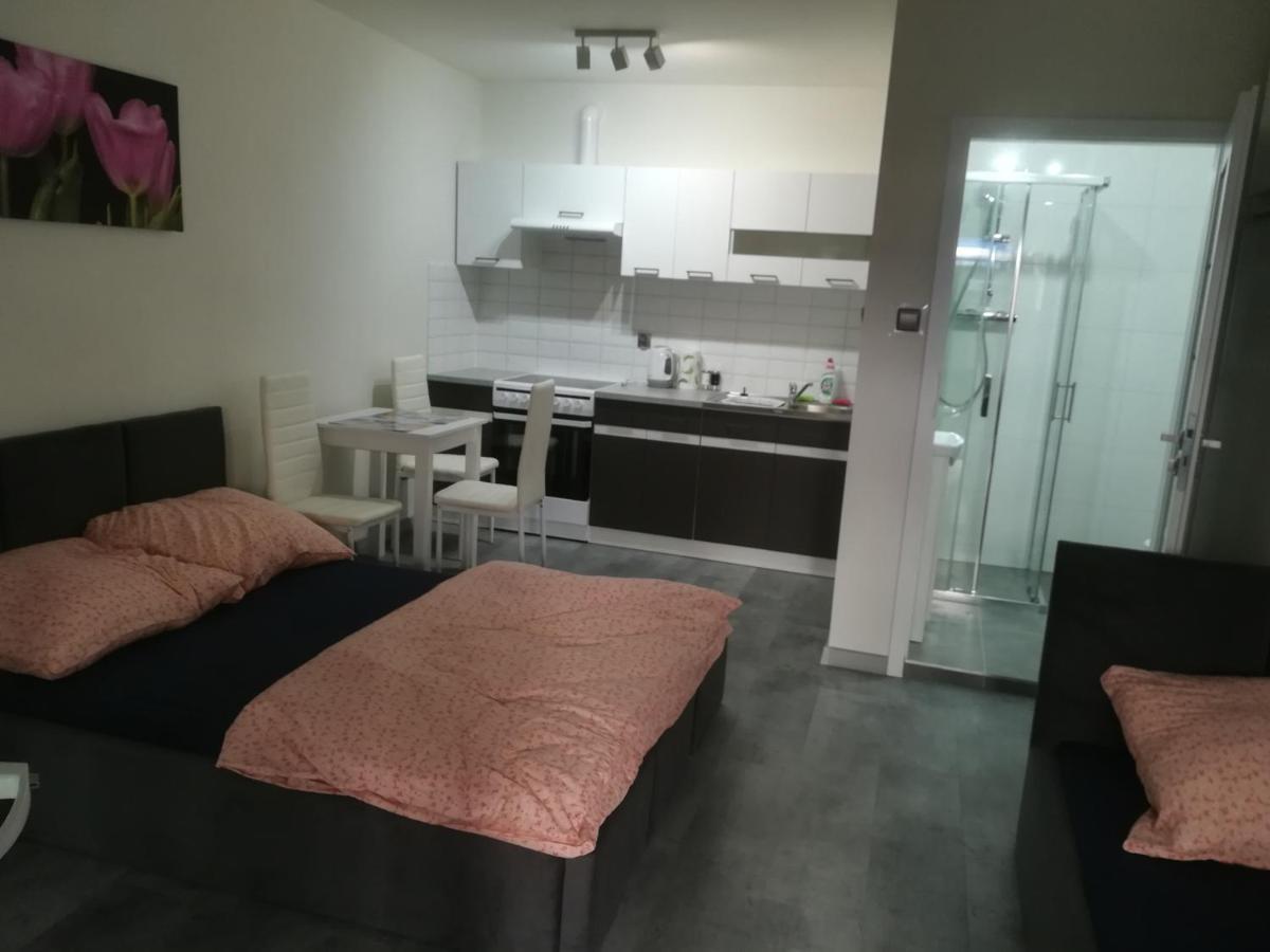 Viktoria Apartman Ełk Kültér fotó